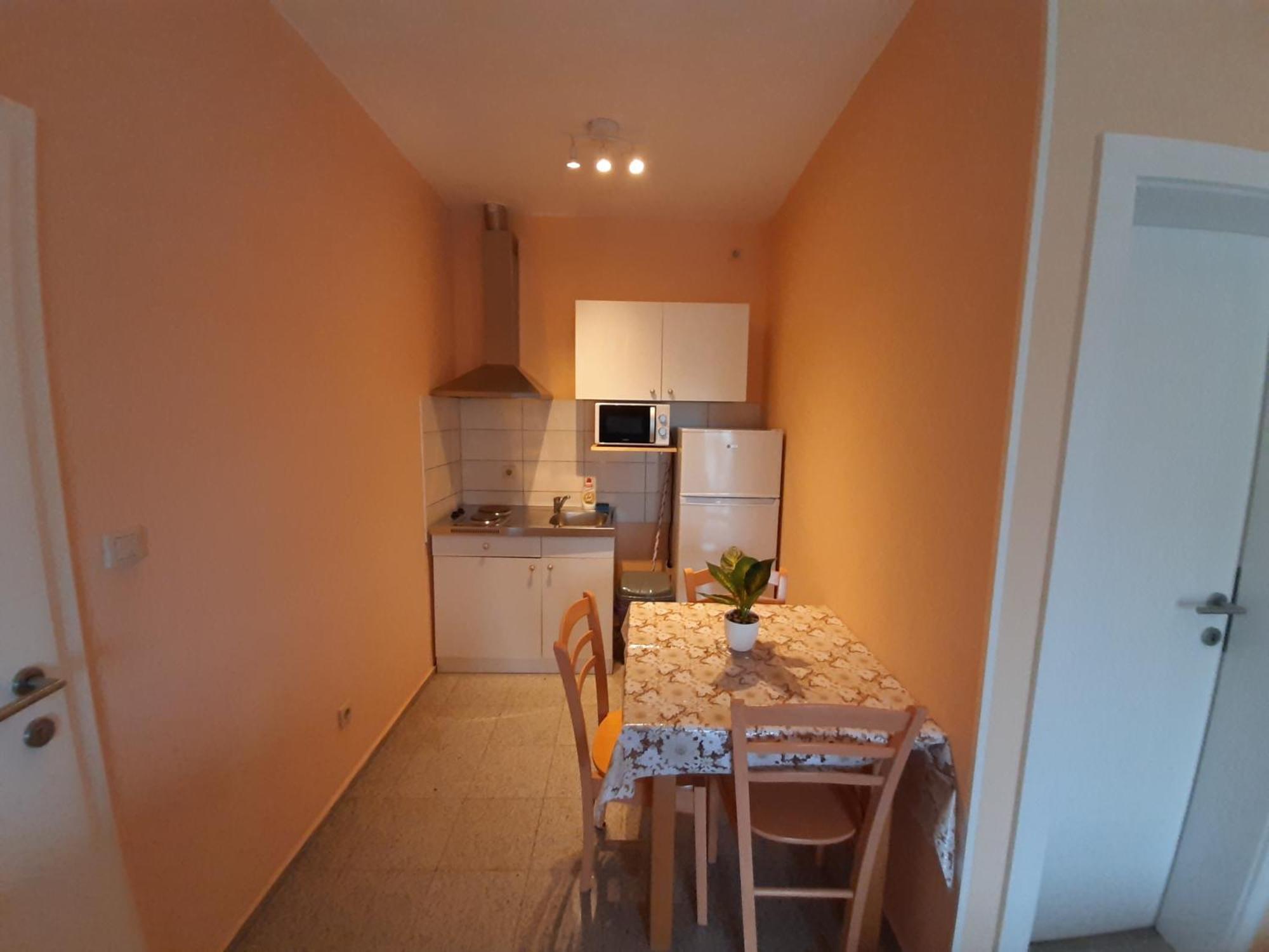 Apartments Vuk ポセダリェ 部屋 写真